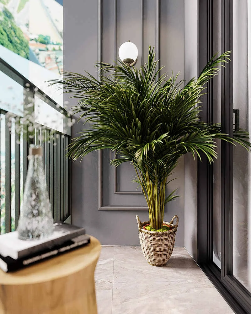 Xác định nhu cầu sử dụng của ban công
