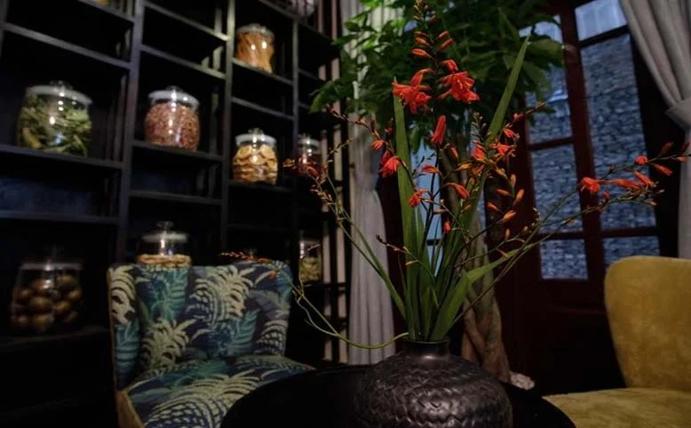 Không gian nội thất spa của hoa và cây cỏ